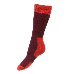 Glen Lady Socks - Mulberry by House of Cheviot