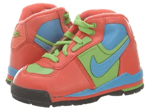 Nike Baltoro LE (TD) Style # 314611