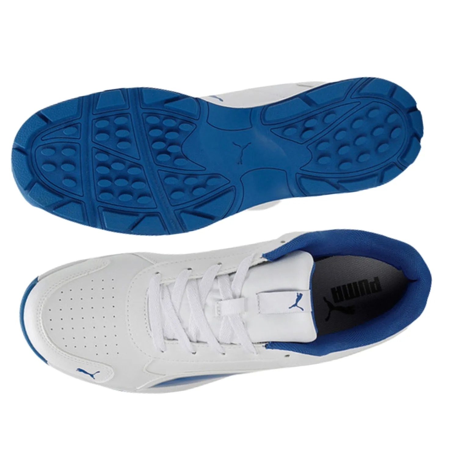 Puma Cricket Shoes, Classic Cat -  White/Blue