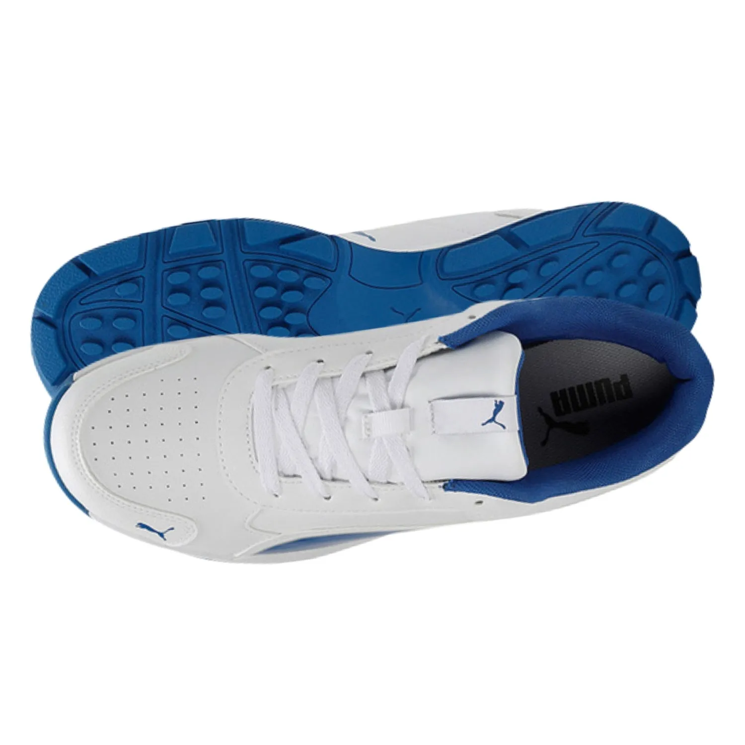 Puma Cricket Shoes, Classic Cat -  White/Blue