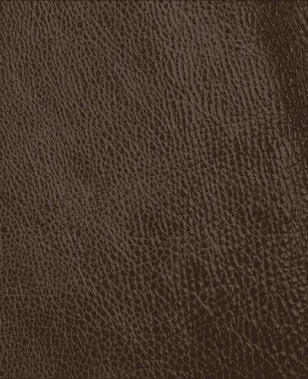 Rodeo Full Grain Pebble Cowhide