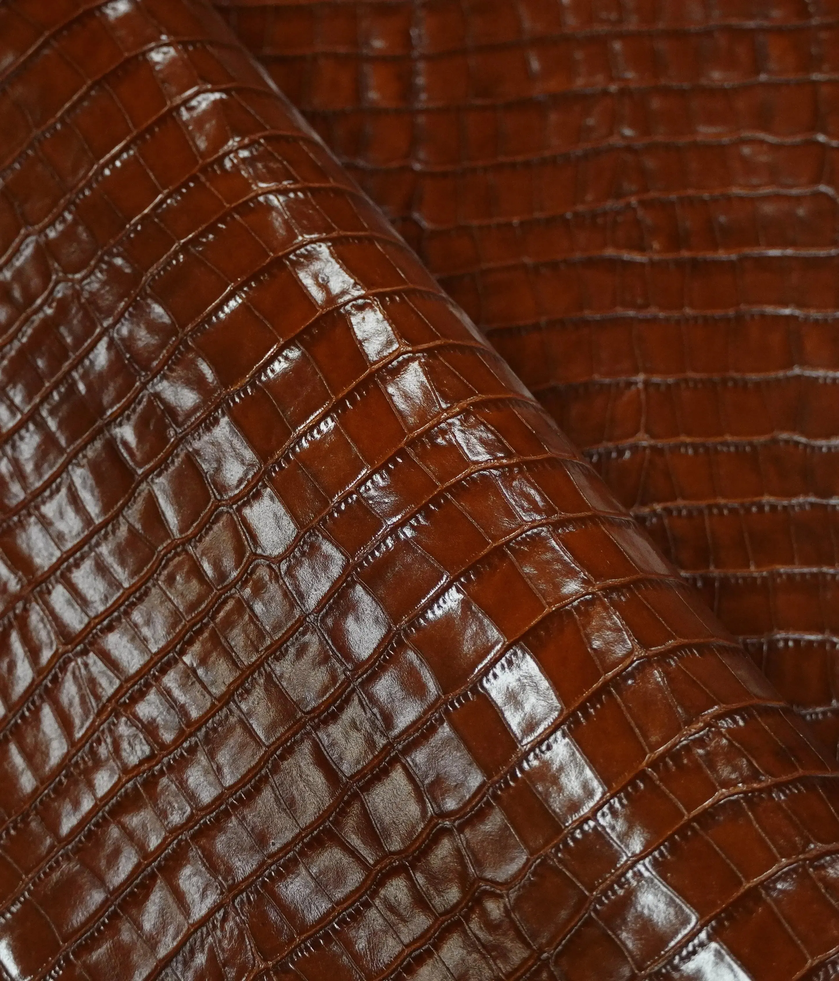 Sydney Crocodile Embossed Cowhide